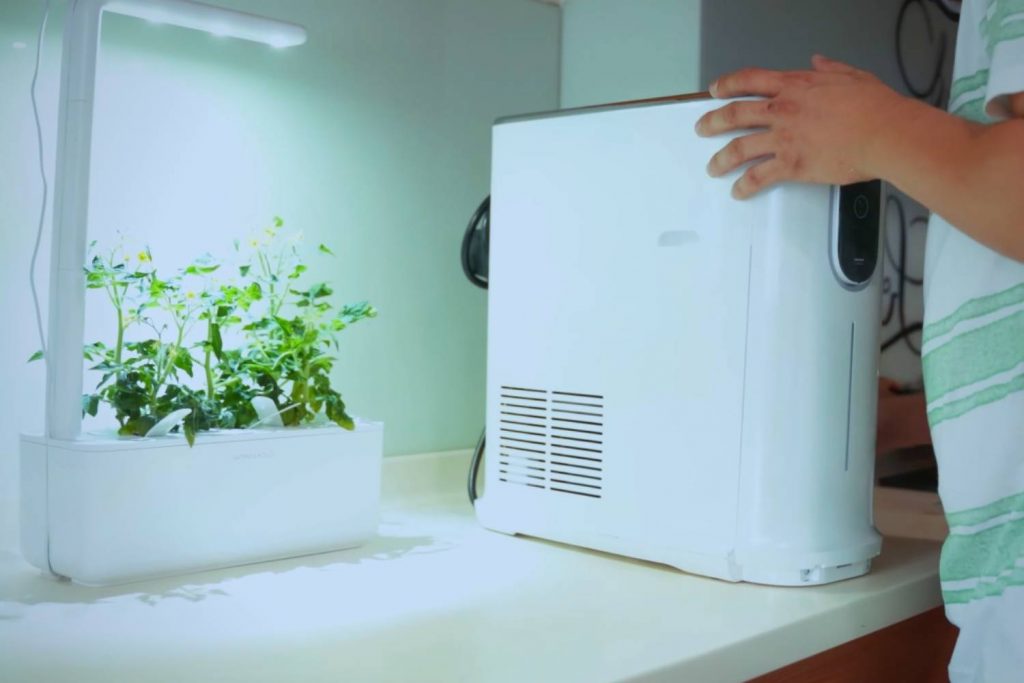 How to Descale a Hot Water Dispenser Surreal Home